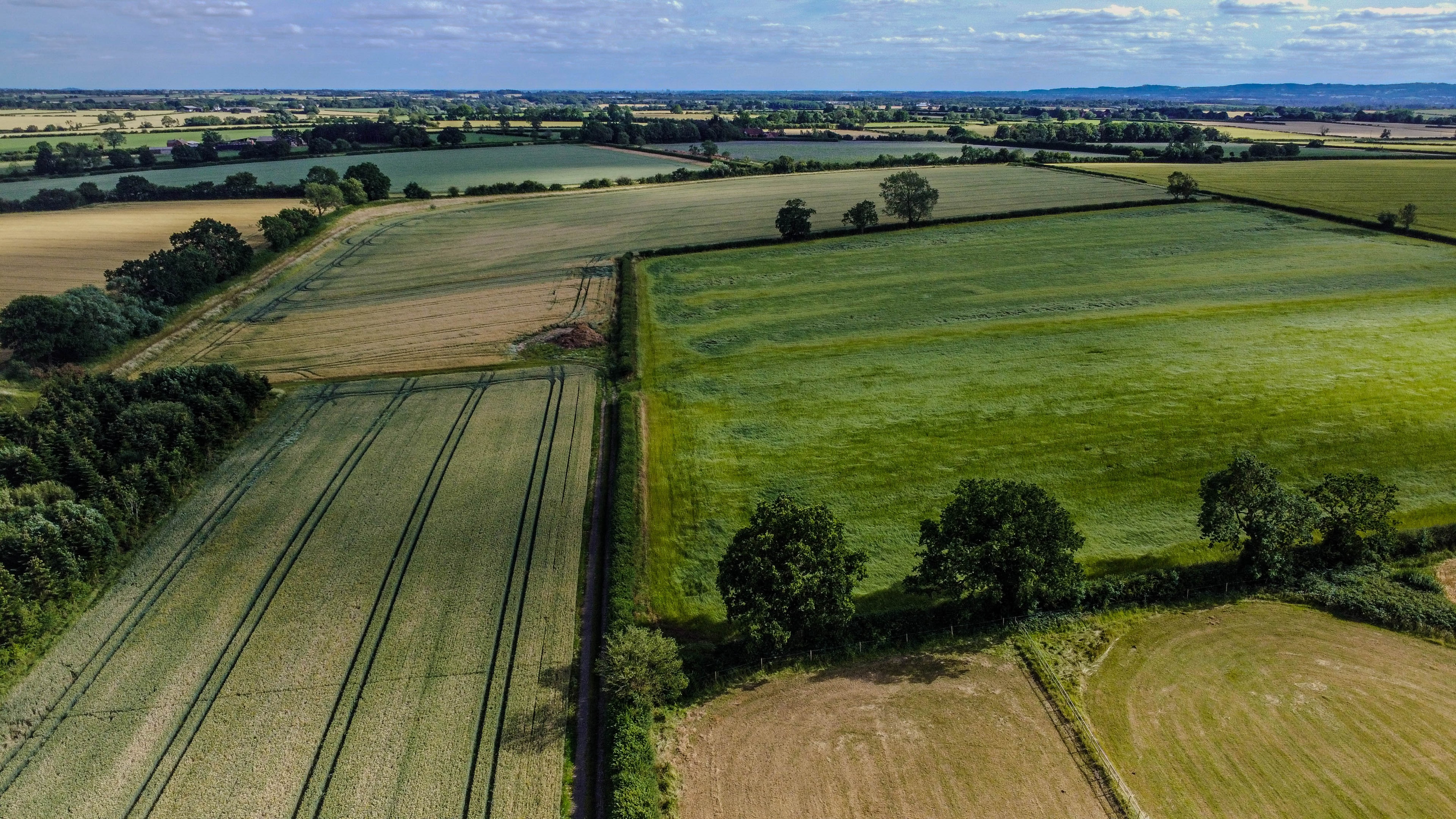 Aerial view of caravan park surrounded by woodland